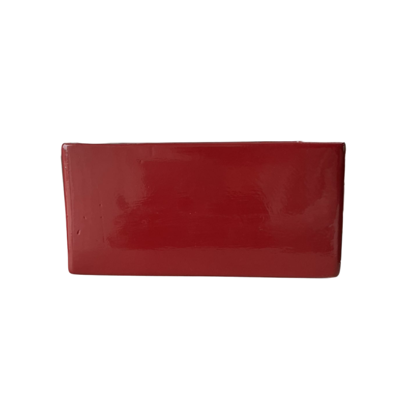 ΟΡΧΙΔΕΑ ΖΑΡΤΙΝΙΕΡΑ   Μ25 Χ Π14 Χ Υ24   ΜΠΟΡΝΤΟ -13