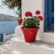 Διαθέσιμα Χρώματα